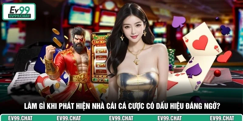 Làm gì khi phát hiện nhà cái cá cược có dấu hiệu đáng ngờ?