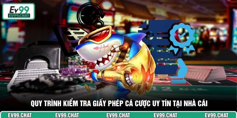 Quy trình kiểm tra giấy phép cá cược uy tín tại nhà cái